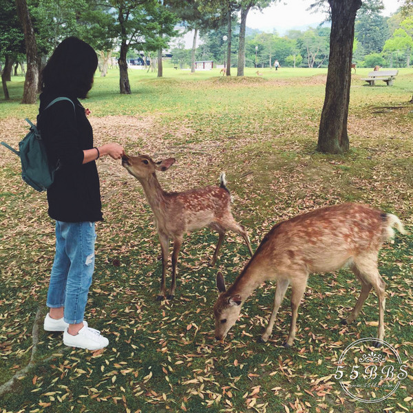 积家翻转男女款区别,积家翻转明星同款