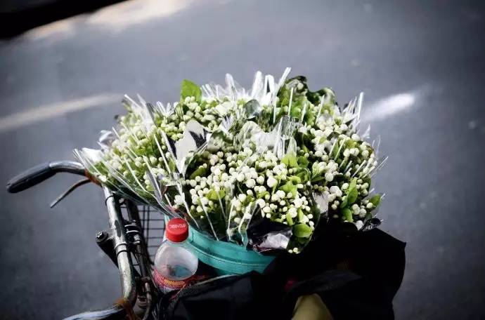 暗黑系石楠花退场的夏天，谁才是武汉新一轮的夏花担当？