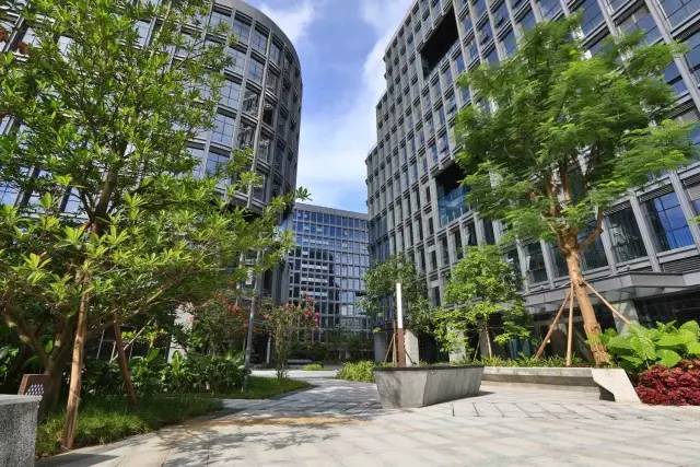 鏅烘収鍥尯鍒涙柊,鏅烘収鍥尯鐨勬櫤鎱т綋鐜板湪鍝噷