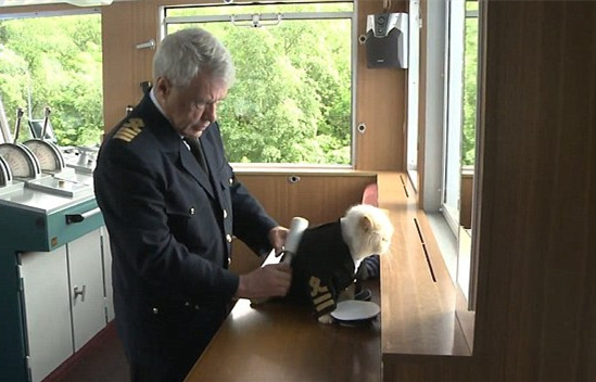 猫船长,魔性猫船长