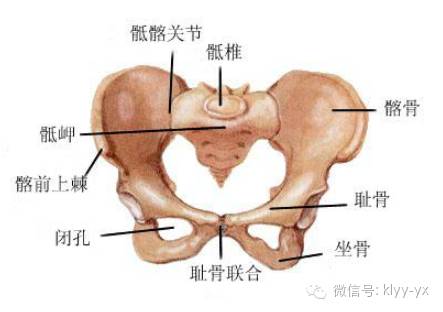 备孕痛经，其实是这样的！