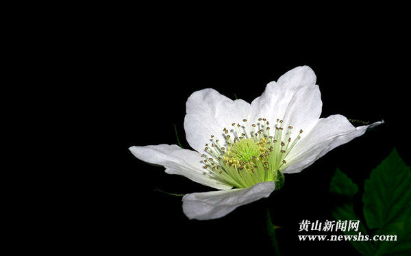 人间再无红颜少,人间再无魏忠贤