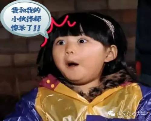 猴年马月最后一天视频,猴年马月有没有重逢的一天