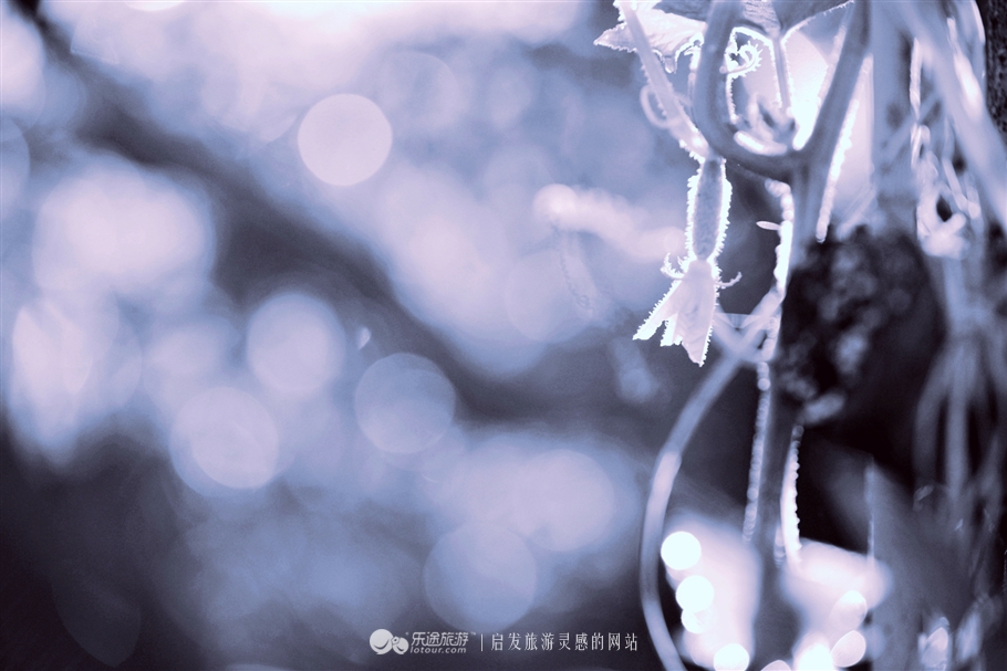 寻觅夏季的清凉,寻觅市井烟火感受光阴阑珊