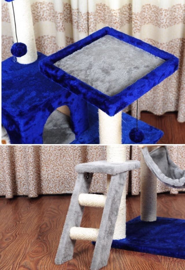 家有吉祥招财猫,家有招财猫还有聚宝盆