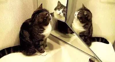 镇江官塘灵异事件,镇江灵异事件真实故事