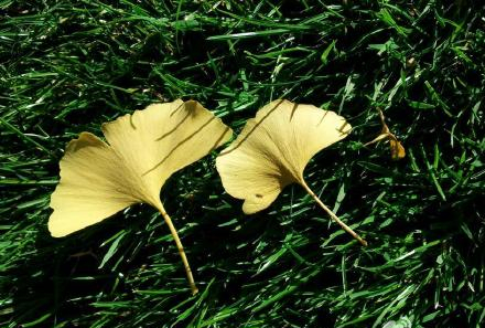 老年人大小便不受控制用什么药,中老年人小便止不住是什么原因