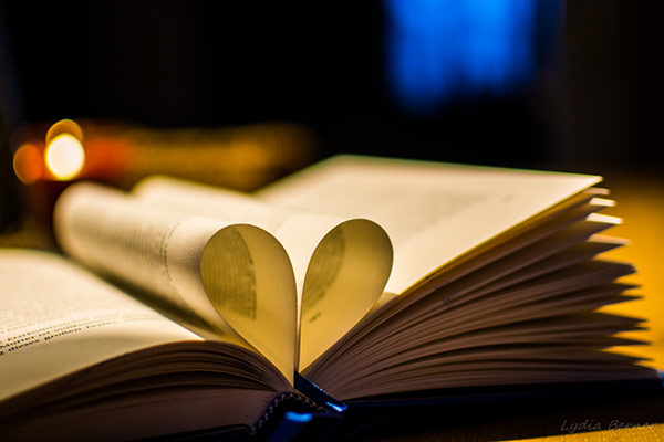 家里蹲大学状元,acca高分