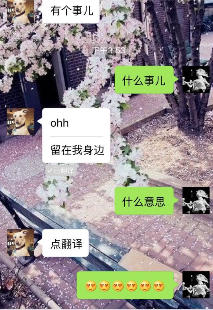 现场表白怎么说最真诚,最真诚的表白情话大全