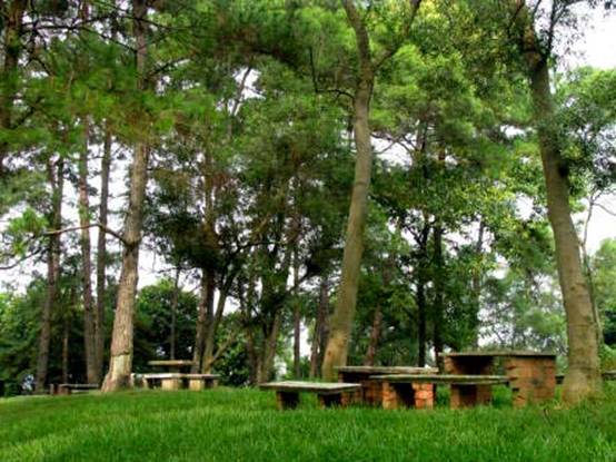 南宁附近的农家乐有哪些,南宁陈家大院农家乐大全