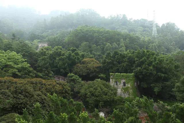 来深圳一定要去哪里逛逛,来深圳值得去的地方