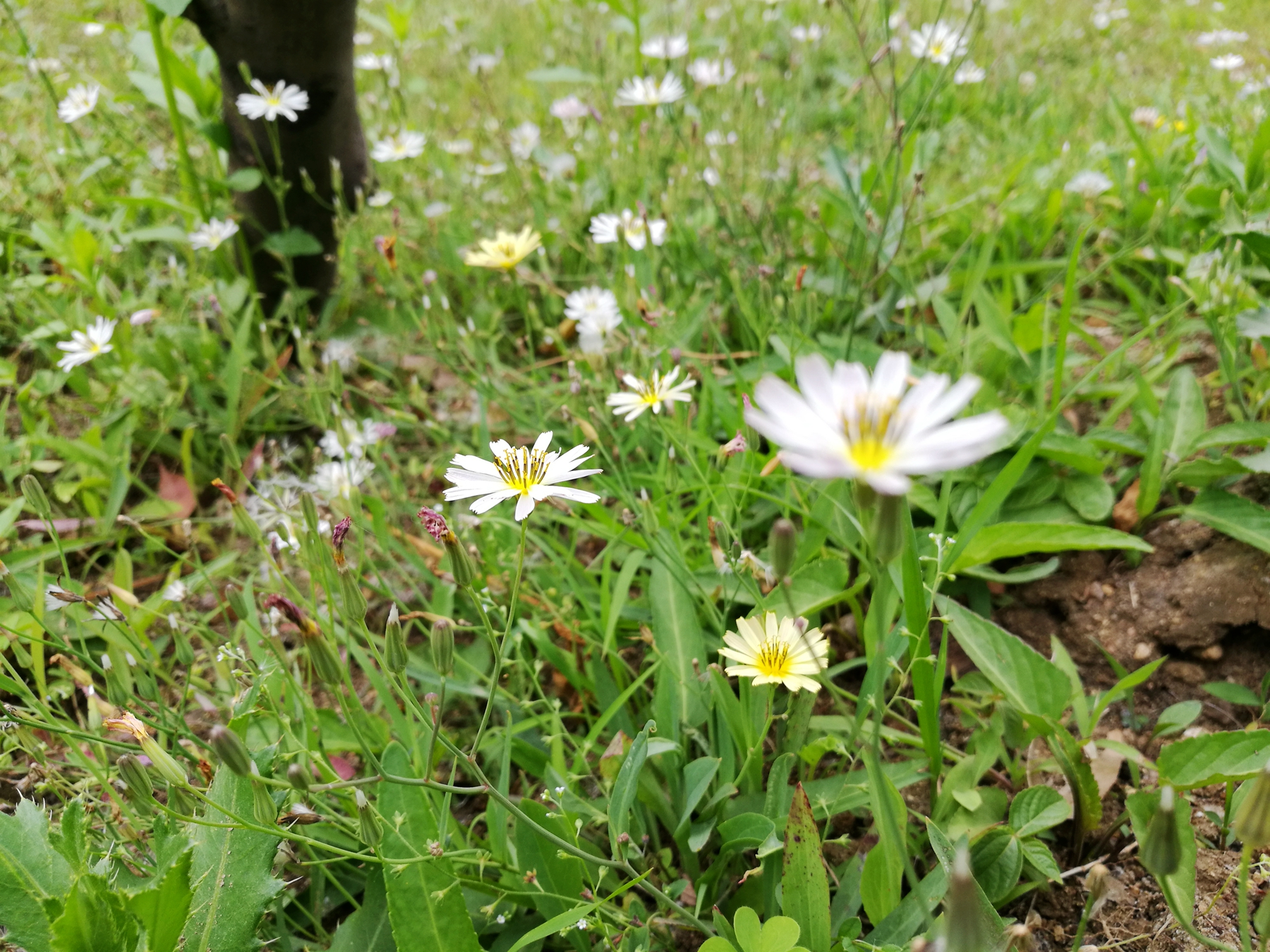 荣耀v8全面测评,荣耀v8前后对比