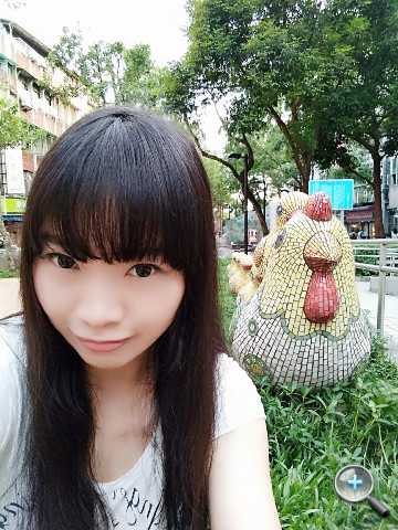 小米redmimax98寸评测,小米max拍照评测