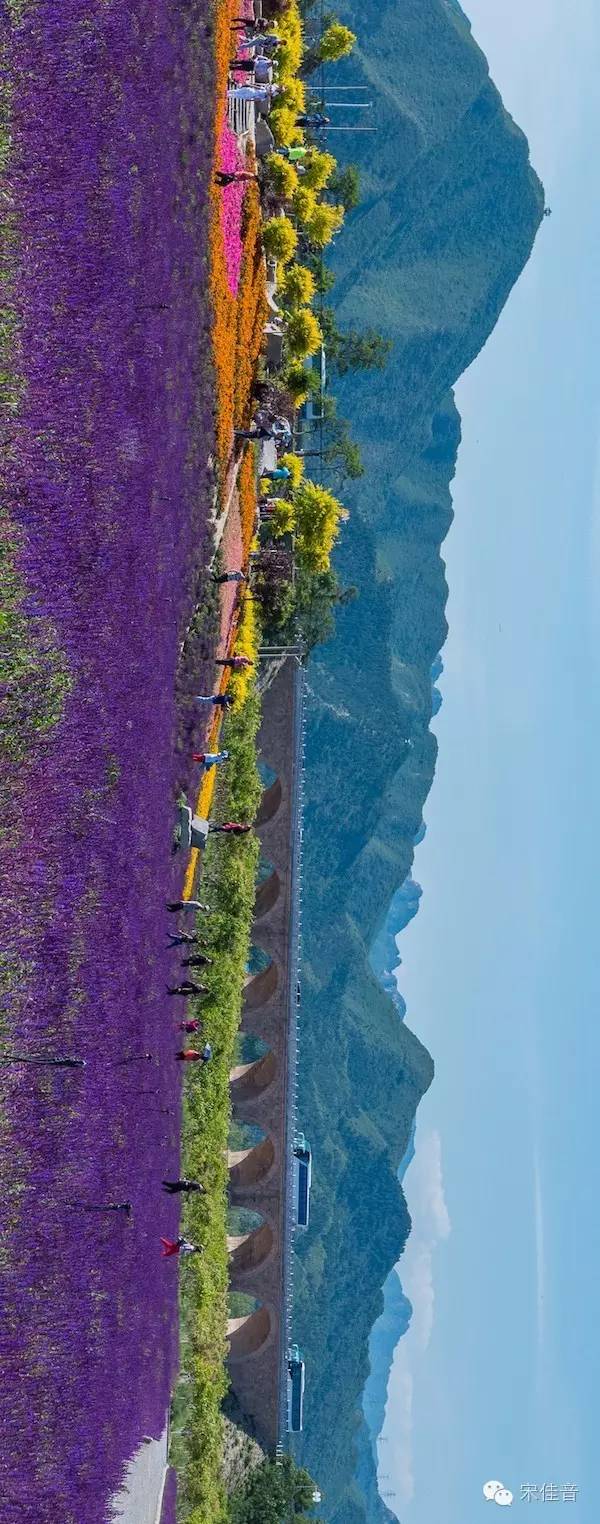 北京薰衣草庄园,北京最大的薰衣草庄园