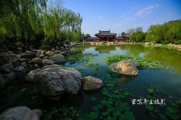 在酒店体验下厨的感受,在温泉池享受视觉与味觉双重盛宴