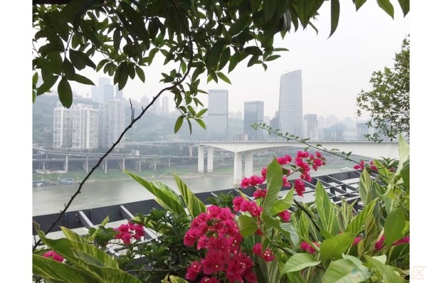 北滨路小资茶楼,北滨路茶室