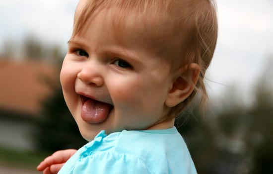 日本ems停运最新消息,日本ems多少钱一公斤