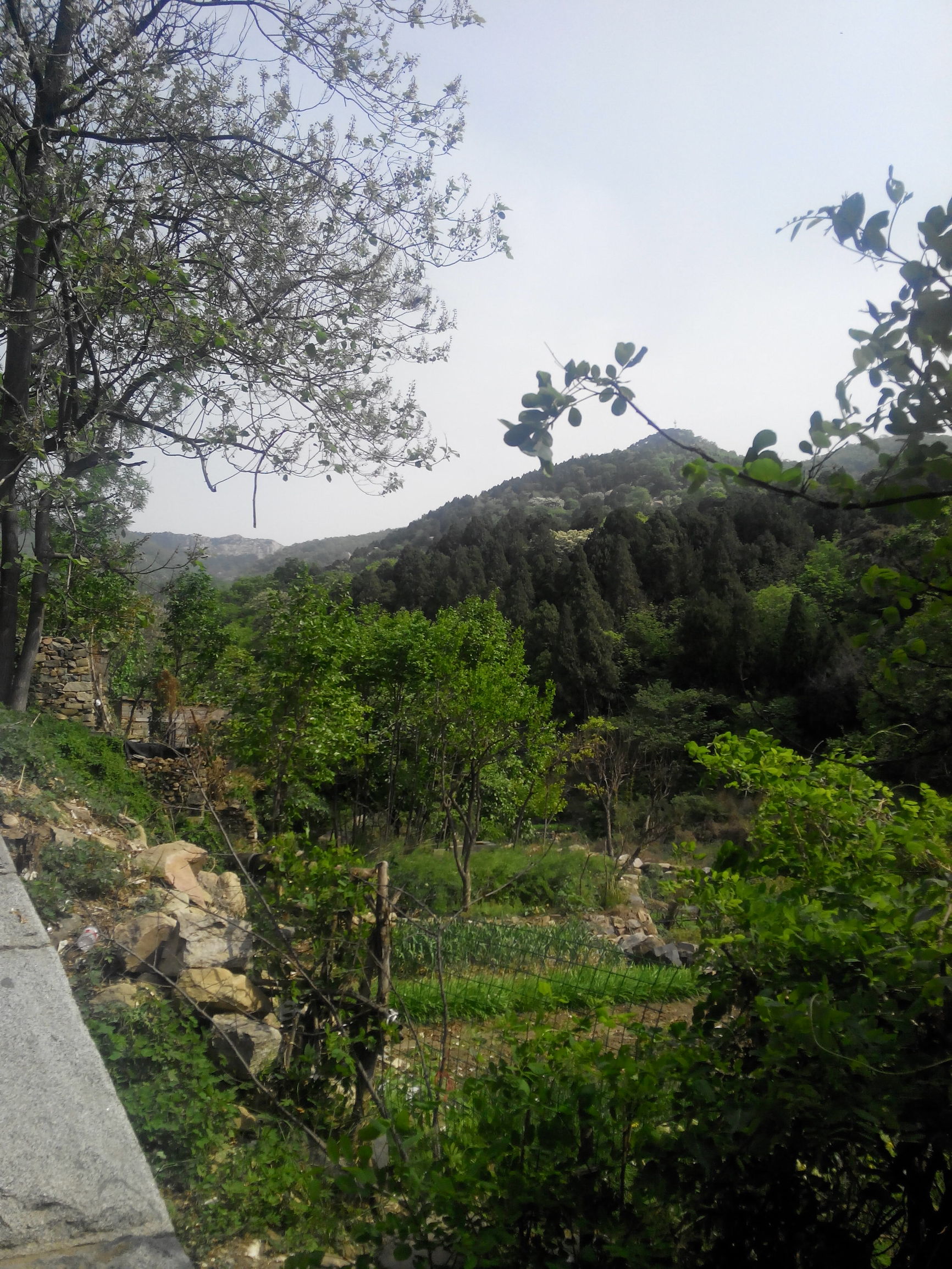 天津去泰山自由行攻略,天津泰山旅游攻略自助游