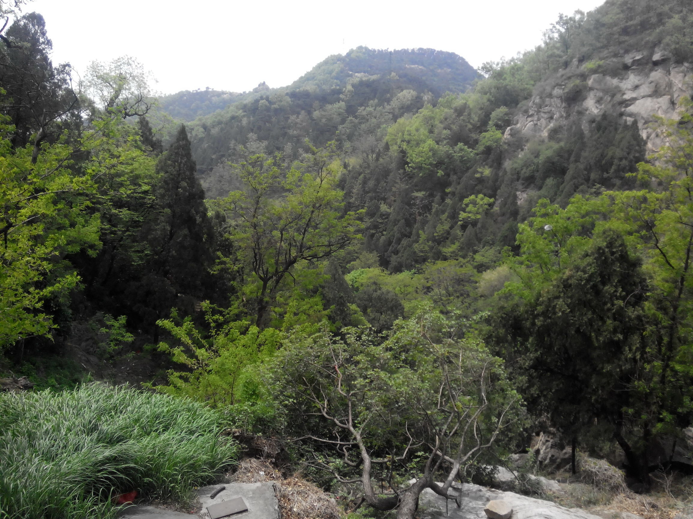 天津去泰山自由行攻略,天津泰山旅游攻略自助游