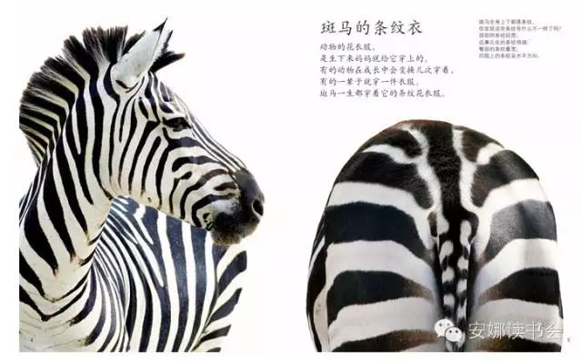 幼儿科普书籍,儿童科普绘本启蒙书