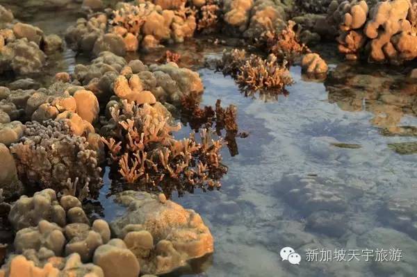 泰国的马尔代夫丽贝岛,泰国马尔代夫的海岛