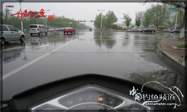 风雨无阻之我爱飞鱼去‘*欢寻**’!