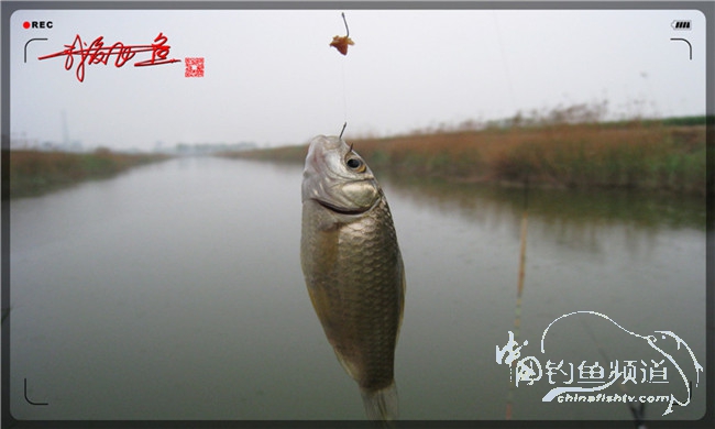 风雨无阻之我爱飞鱼去‘*欢寻**’!