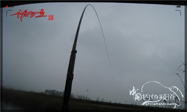 风雨无阻之我爱飞鱼去‘*欢寻**’!