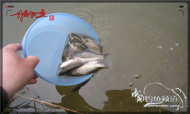 风雨无阻之我爱飞鱼去‘*欢寻**’!