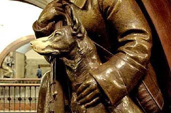 盘点被人拍到的美人鱼视频,盘点那些被拍到的美人鱼