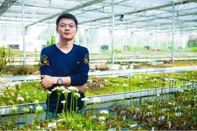 另类电商生意:把植物卖成宠物,把最冷门的做成爆款