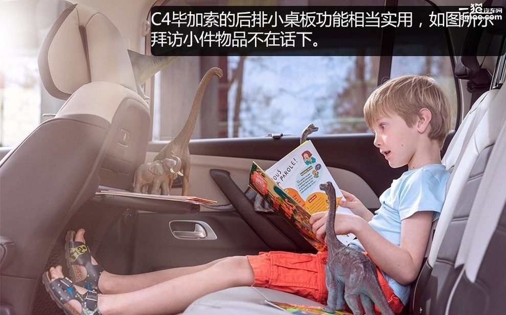 一般人欣赏不了,一般人欣赏不来的艺术花