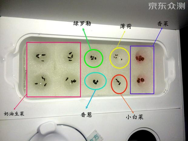 绿色环保农家小菜园,绿色无公害的自家小菜园