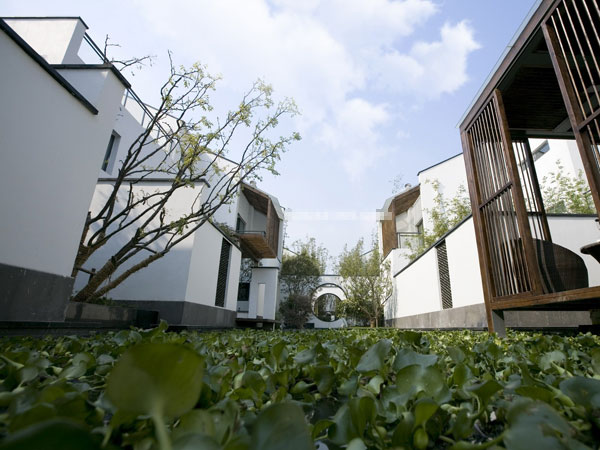 东莞面积最大的城市排名,东莞凭什么是全国最富的城市之一