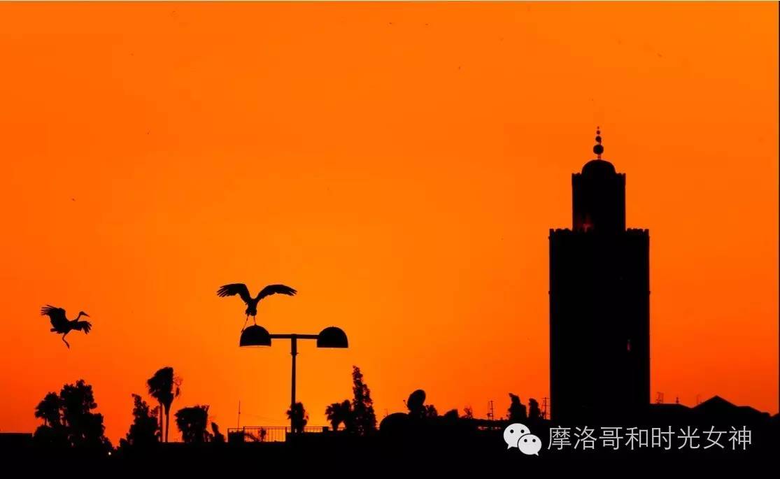 摩洛哥免签技巧,摩洛哥免签地点推荐