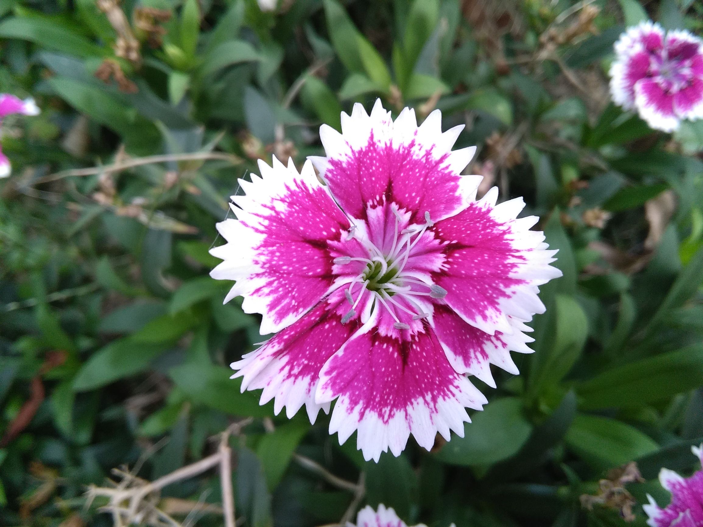 华为揽阅m210.1寸可以玩什么游戏,华为揽阅m210.1寸值得购买吗