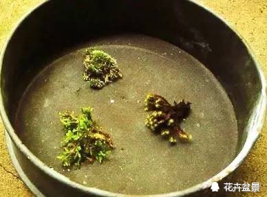 苔痕上阶绿草色入帘青妙在哪里,苔痕上阶绿草色入帘青全文