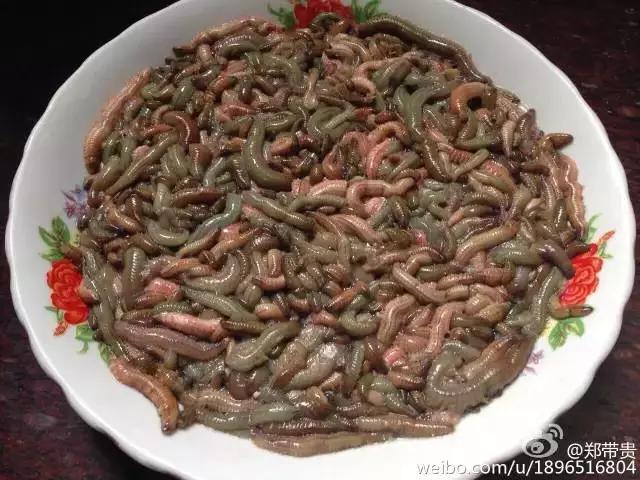 这些“恶心”的福建美味！恐怕顶级的福建吃货也难以吃到了……