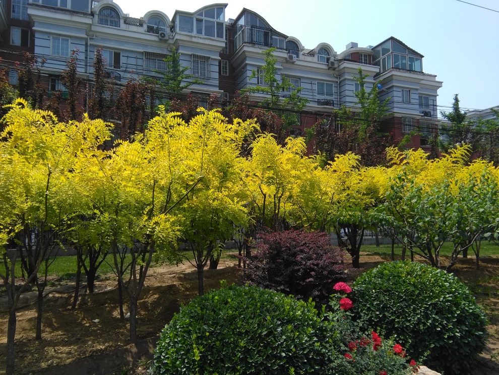 华为揽阅m210.1寸值得购买吗,华为揽阅m2青春版值吗