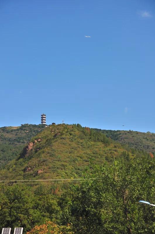 蟒山森林公园小东江,莽山森林公园萤火虫