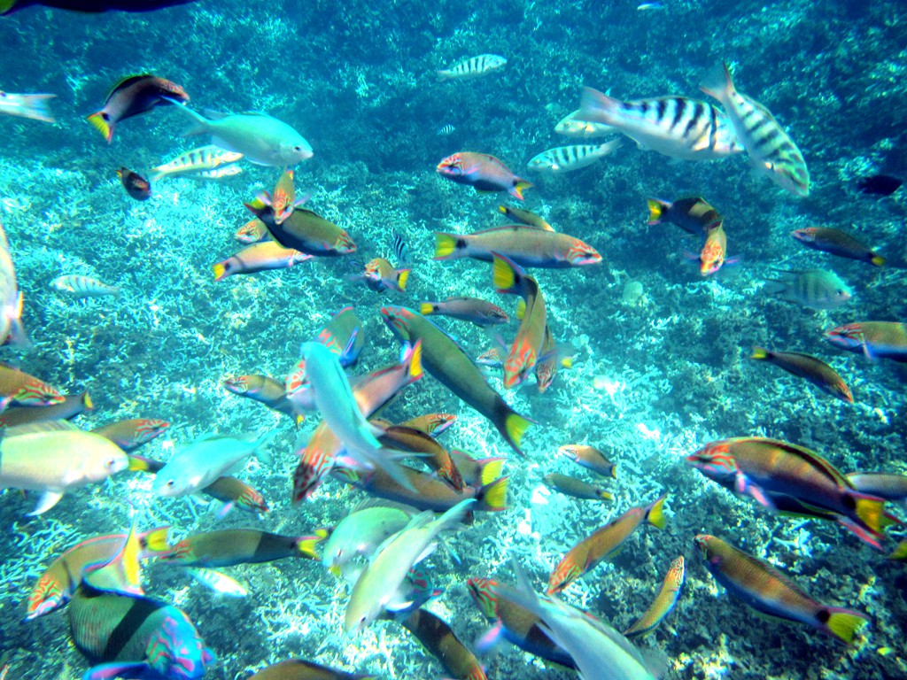 三亚马来西亚旅游,不要再去又挤又贵的三亚