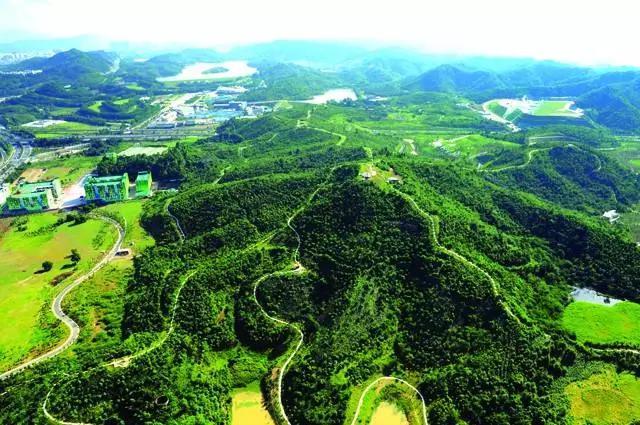 来深圳一定要去哪里逛逛,来深圳值得去的地方