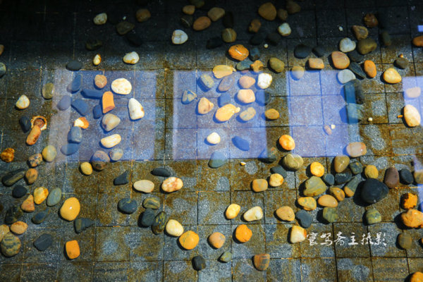 在酒店体验下厨的感受,在温泉池享受视觉与味觉双重盛宴