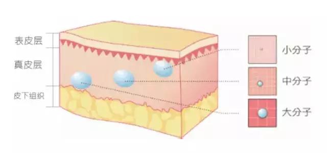 男性注射玻尿酸能维持多久,注射玻尿酸祛除皱纹能维持多久