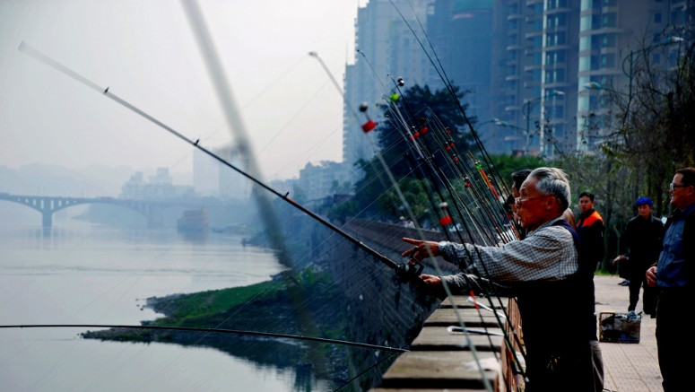教会你钓鱼小技巧,大神教你一招钓鱼