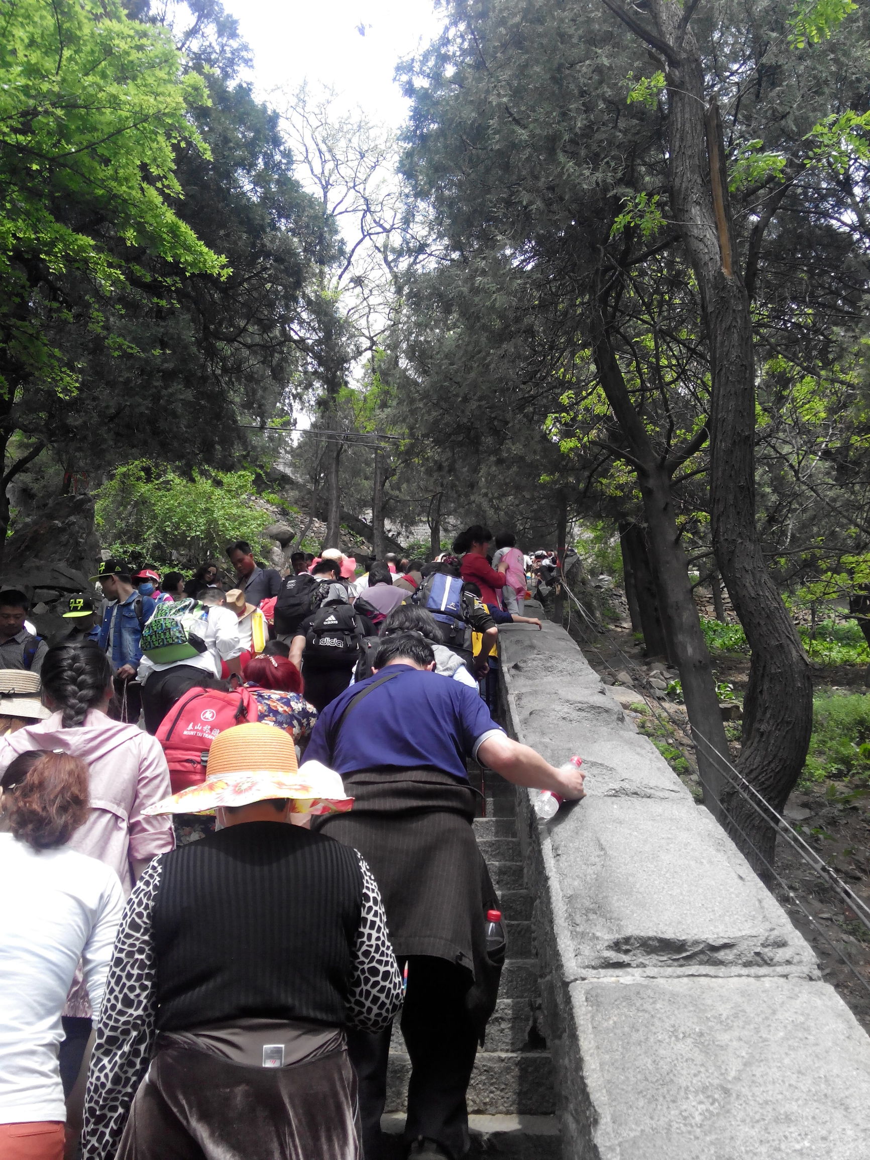 天津去泰山自由行攻略,天津泰山旅游攻略自助游