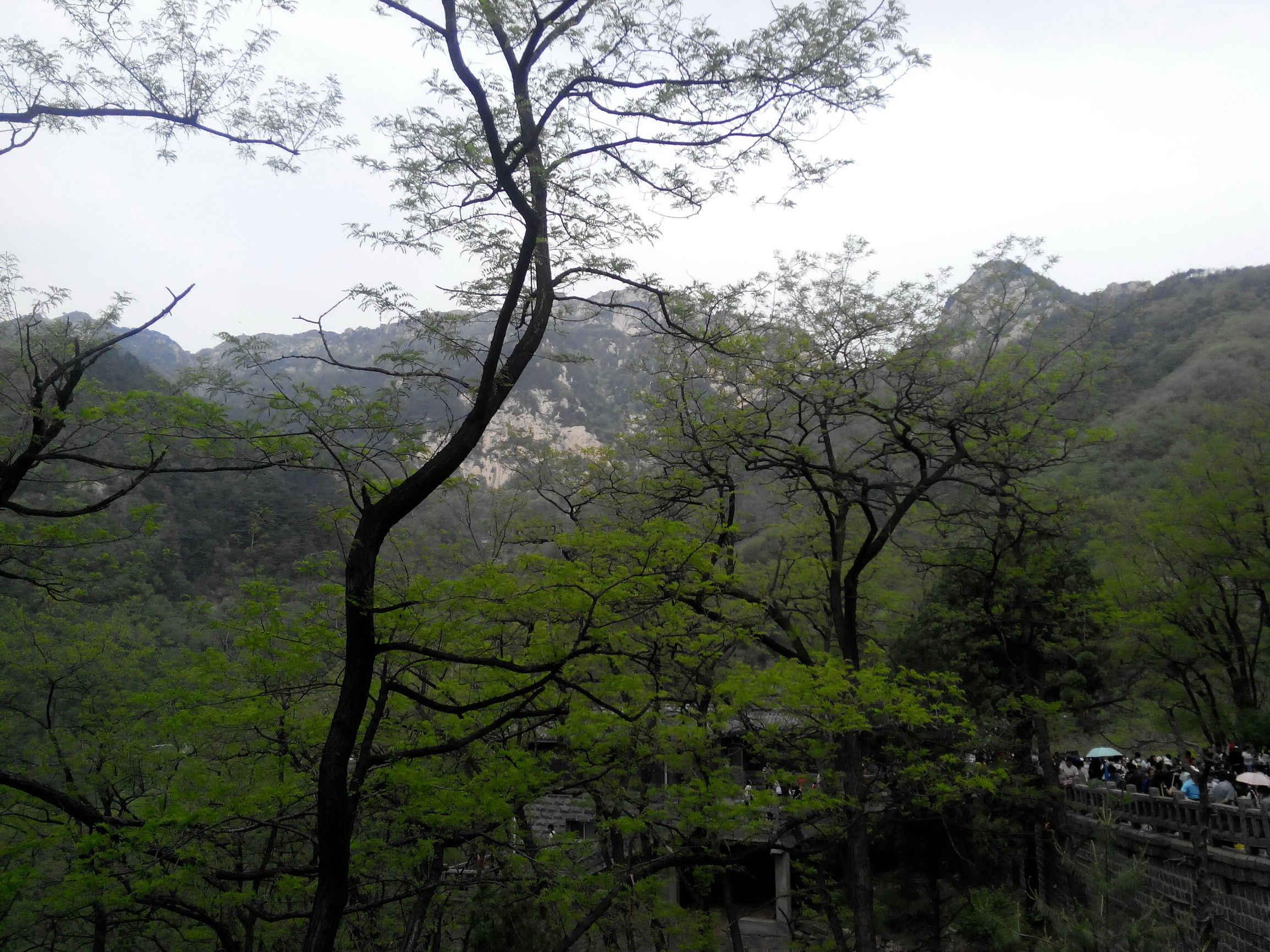 天津去泰山自由行攻略,天津泰山旅游攻略自助游