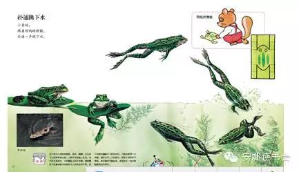 幼儿科普书籍,儿童科普绘本启蒙书