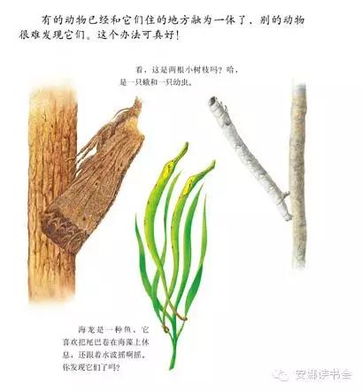 幼儿科普书籍,儿童科普绘本启蒙书