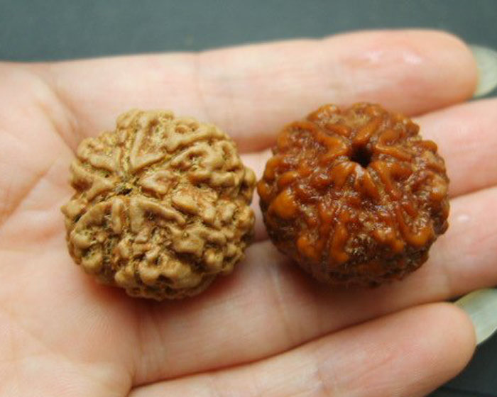 大金刚怎么才是包浆 (尼泊尔红皮大金刚怎么盘)